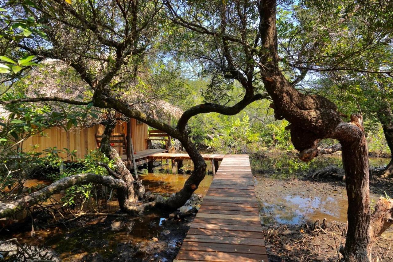 Lily'S Riverhouse Prek Svay Village エクステリア 写真