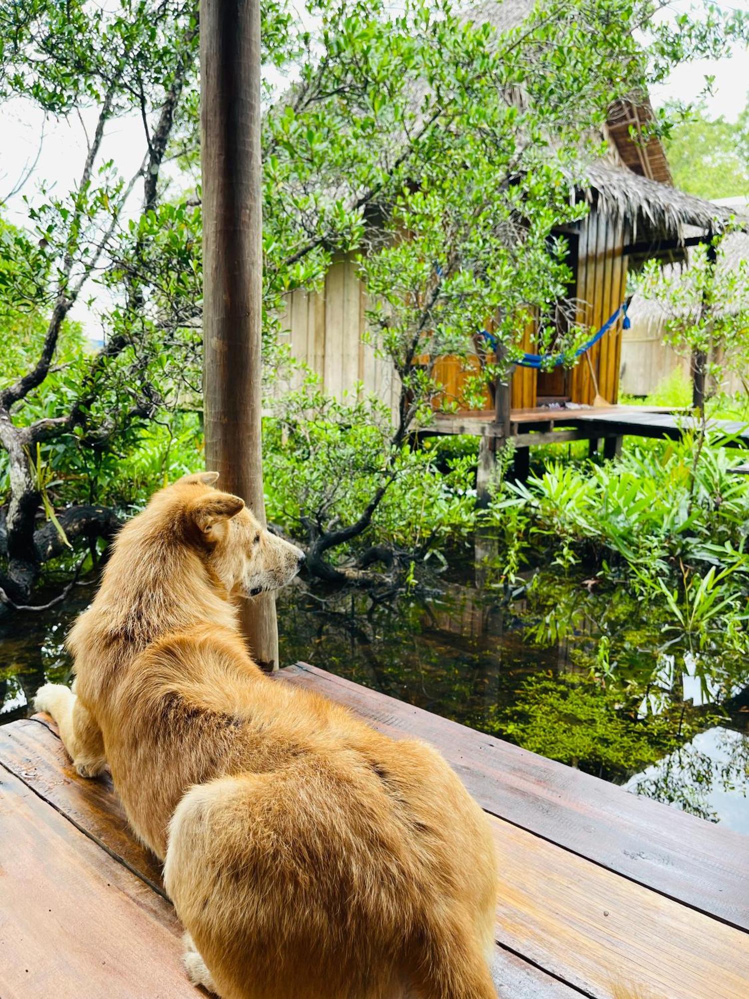 Lily'S Riverhouse Prek Svay Village エクステリア 写真